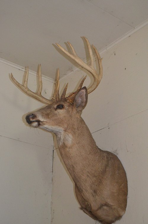 Property photo 189 - REAL ESTATE & PERSONAL PROPERTY AUCTION, 140 Acres offered in 8 Tracts or Combinations in Steuben County